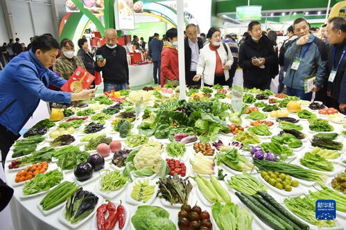 第二十届中国农交会青岛开幕 绿色农产品引领消费新风尚